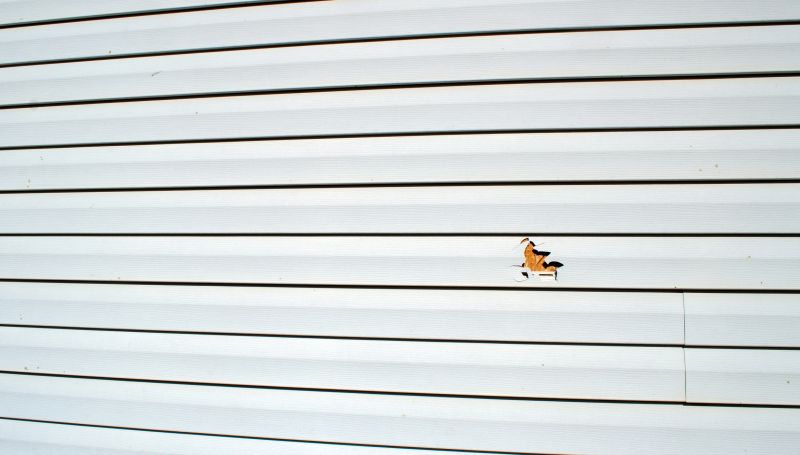 Patch Repair for Vinyl Siding